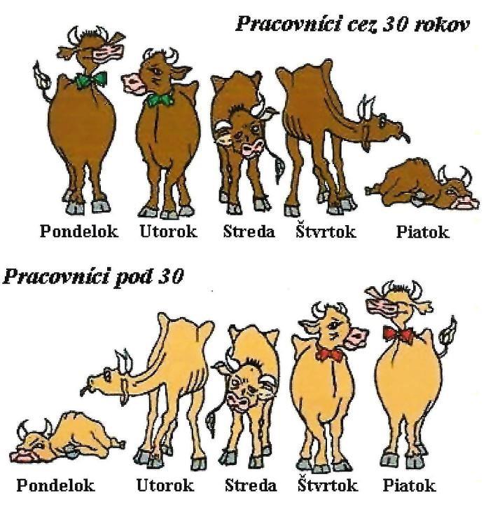 Pracovníci